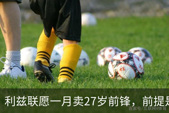 利兹联愿一月卖27岁前锋，前提是先签替身