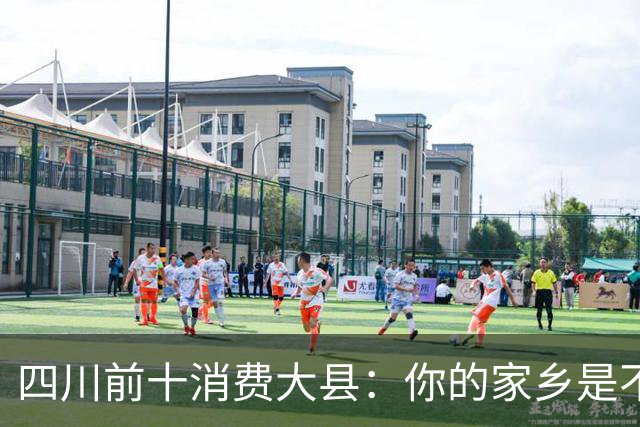 四川前十消费大县：你的家乡是不是其中之一，消费到底高不高？